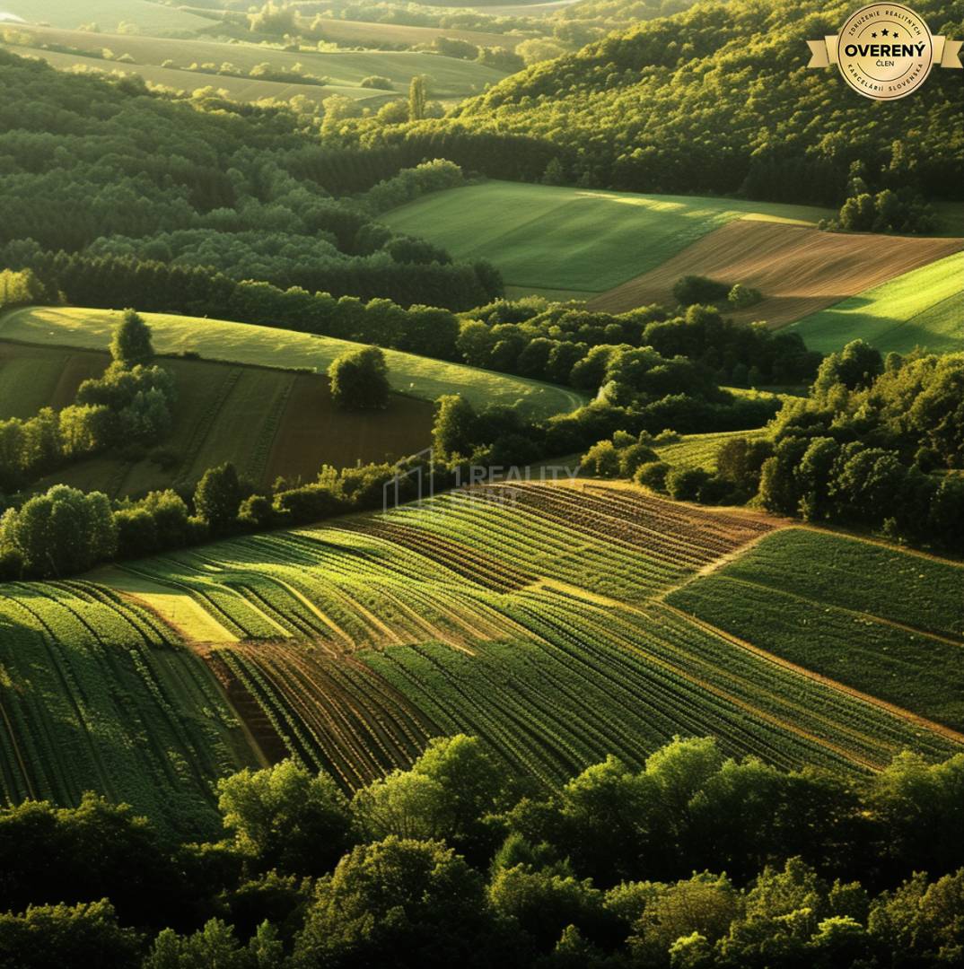 Ilustračné foto Pozemky Turany
