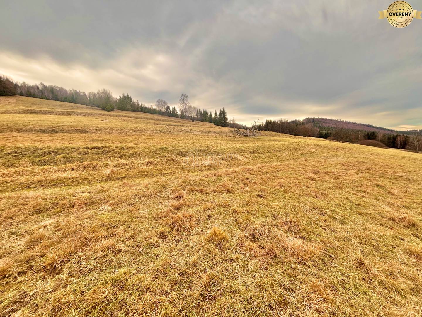 pozemok s rodinným domom - pozemky