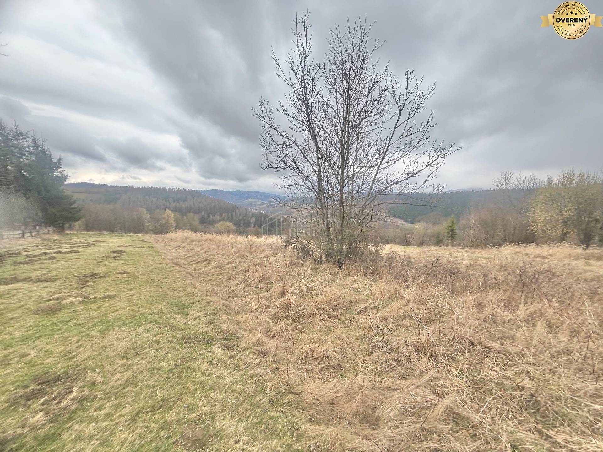 rekreačný pozemok Krásno nad Kysucou