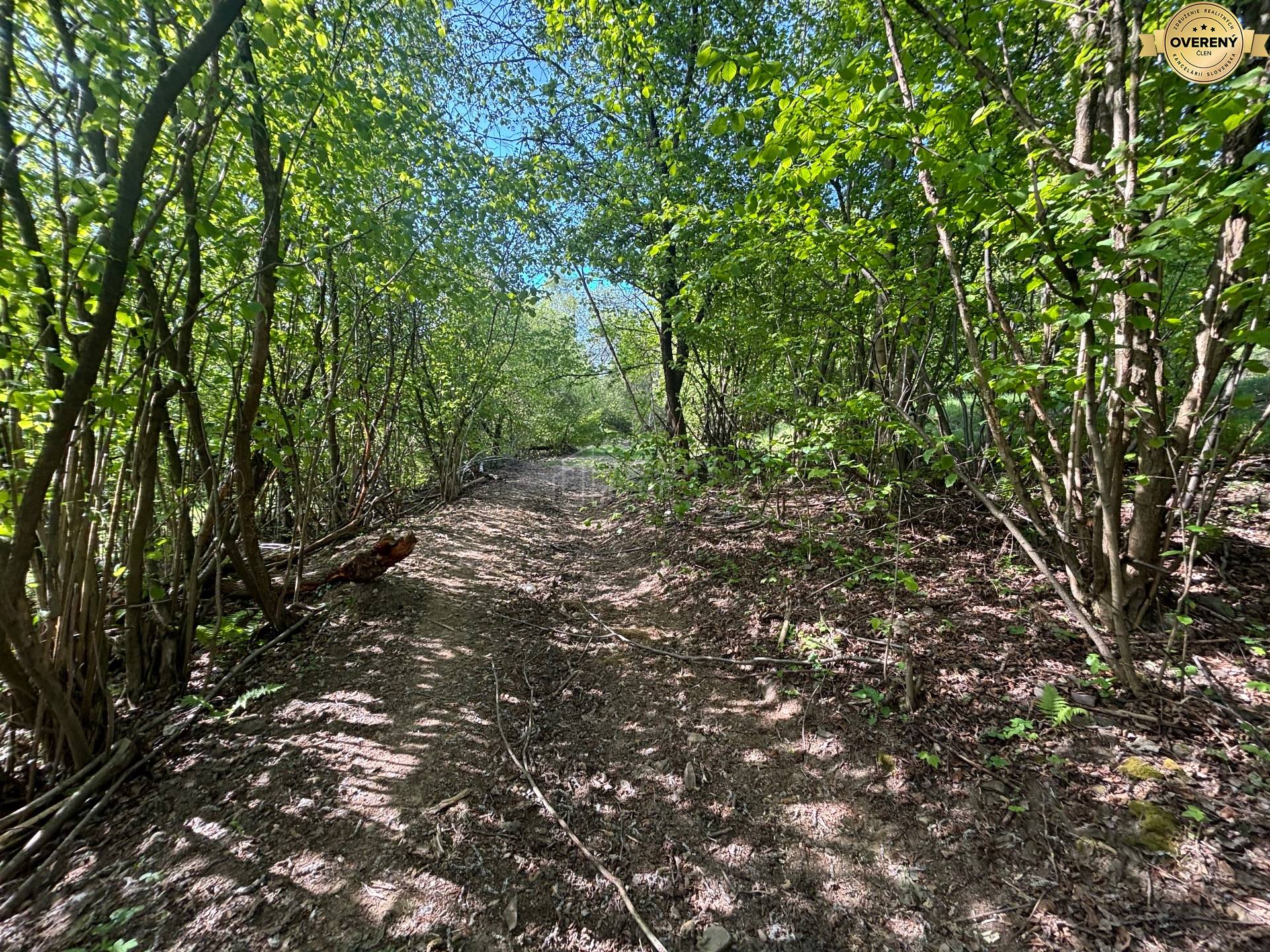 Rekreačný pozemok Čadca- Rieka- príjazd