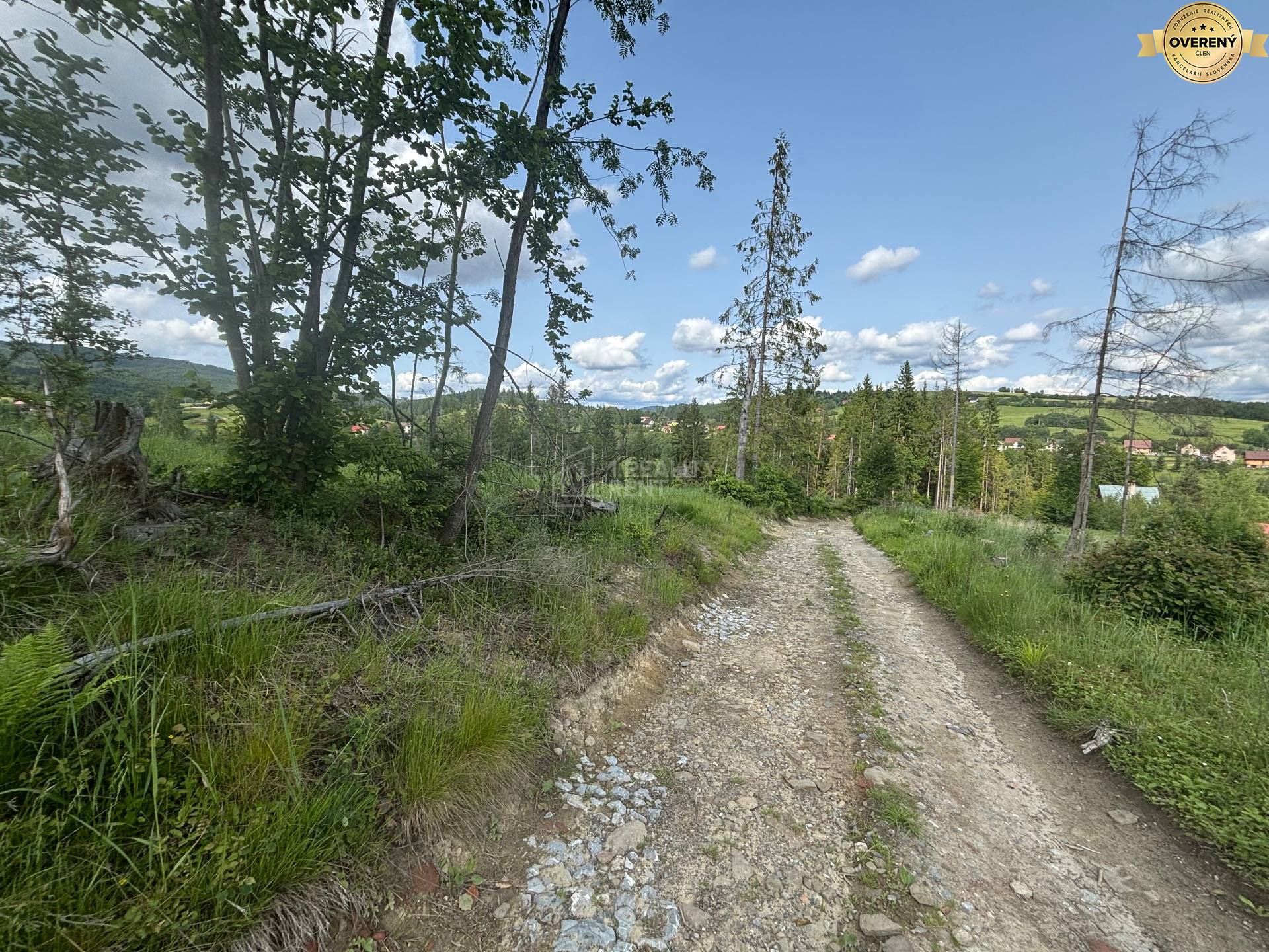 cesta k pozemku