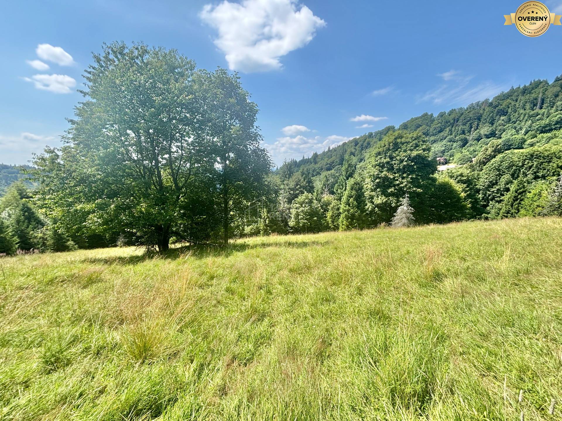 pozemok v intraviláne blízko vleku Oščadnica