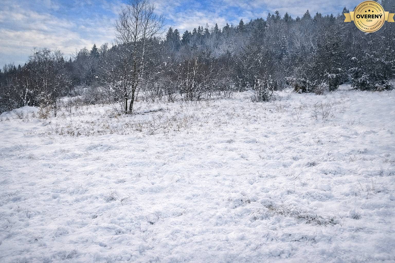 pozemok Zádedová v zime