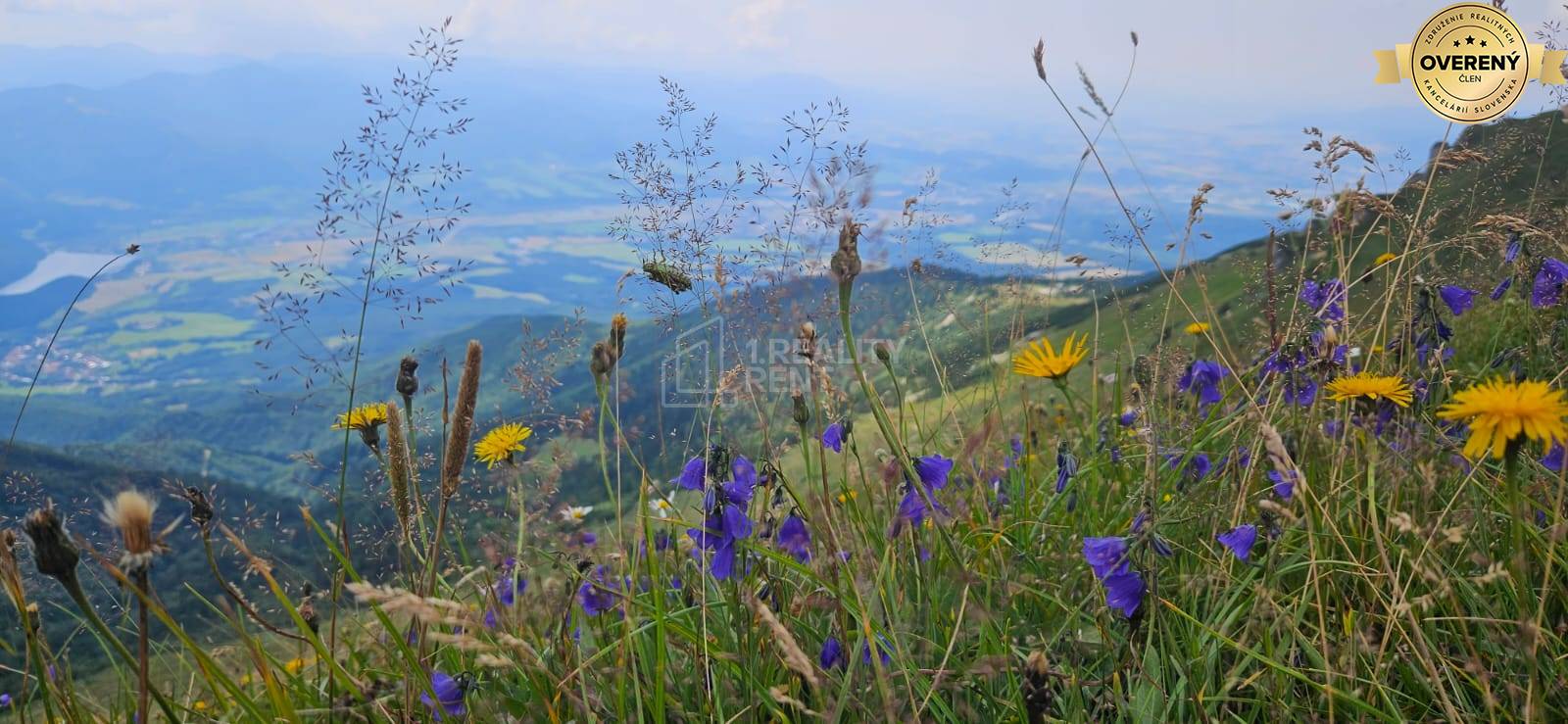 Horský výhľad s lúčnymi kvetmi v blízkosti Terchovej na ulici Vrátna.