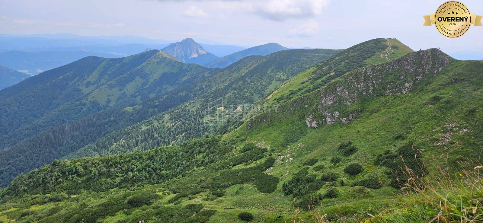 Horské pohoria s bujnou vegetáciou v okolí Terchovej, pohľad z Vrátnej.