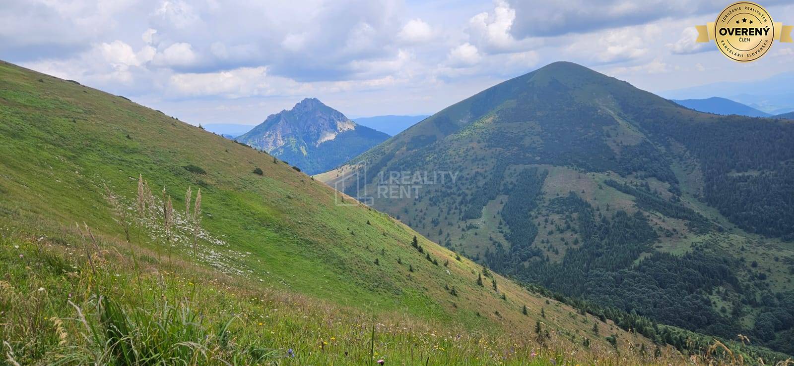 Vrátna Terchová, svieže zelené kopce a horský výhľad z rekreačného apartmánu.