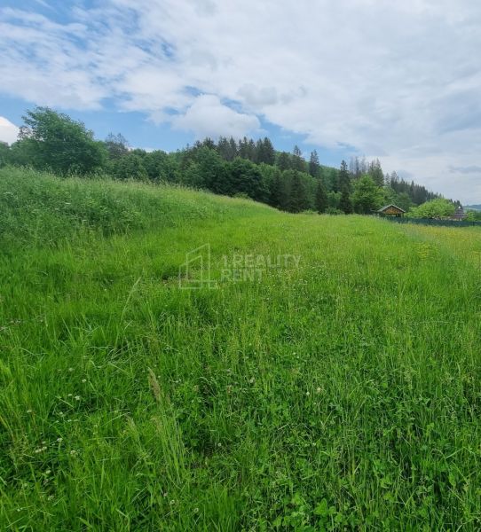 20220609_112657.jpg