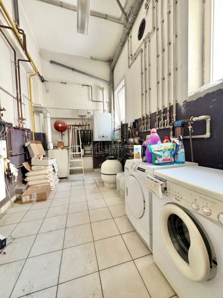 IMG_2302.jpeg
