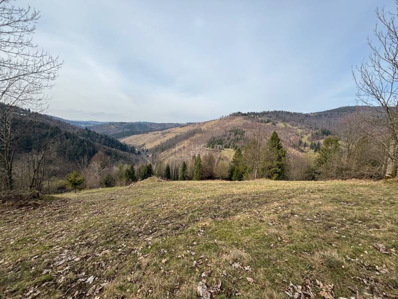 pozemky Oščadnica