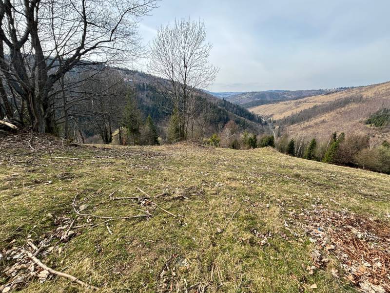 pozemky Oščadnica