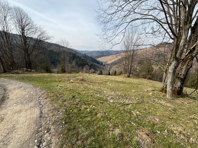 pozemky Oščadnica