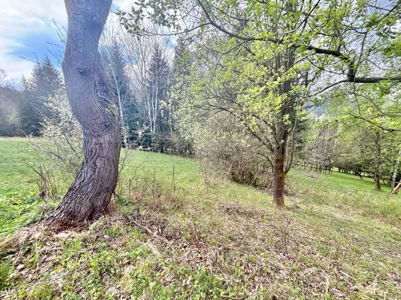 rekreačný pozemok Korňa