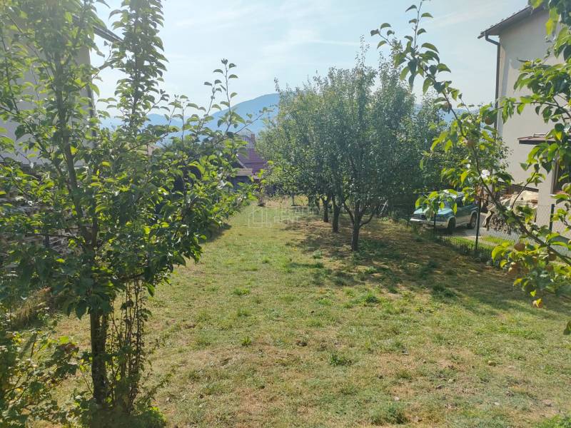 IMG20240903101046.jpg