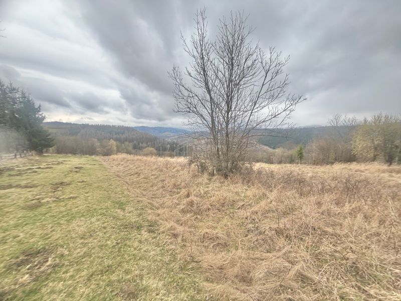 rekreačný pozemok Krásno nad Kysucou