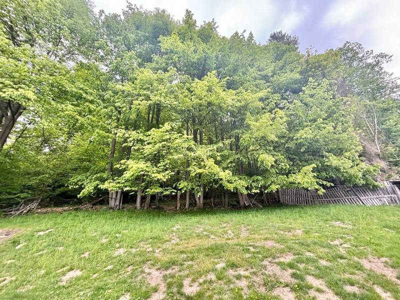 drevenica Zákopčie