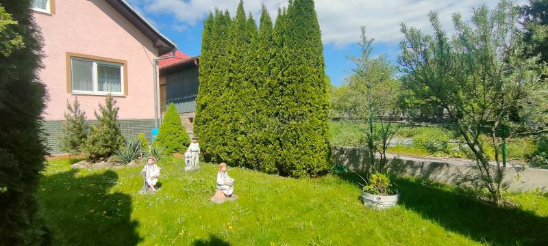 IMG20250509104025.jpg