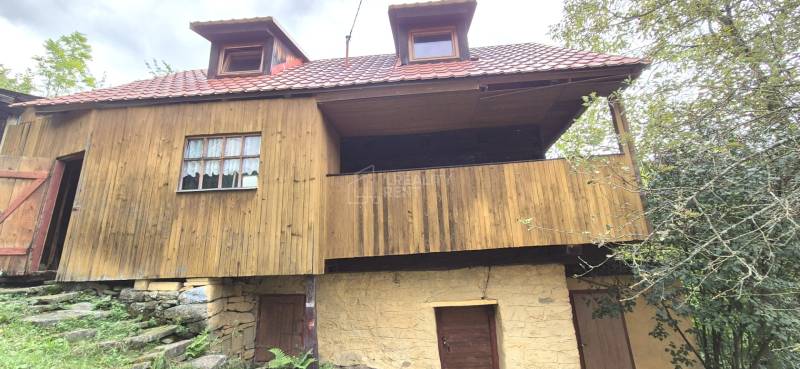 20250916_171848.jpg