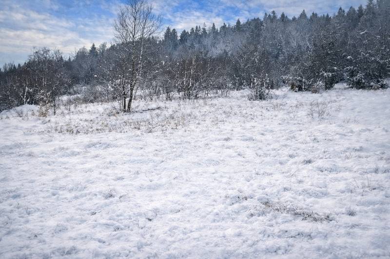 pozemok Zádedová v zime