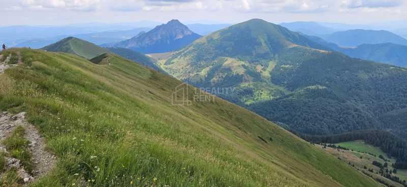 Horské vrcholy pokryté zeleňou vo Vrátnej pri Terchovej ponúkajú úchvatný výhľad na krajinu.