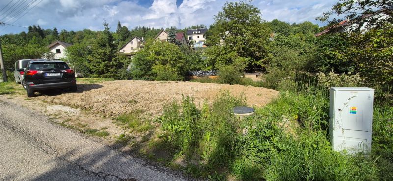 20260617_164737.jpg